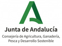 Junta de Andalucía