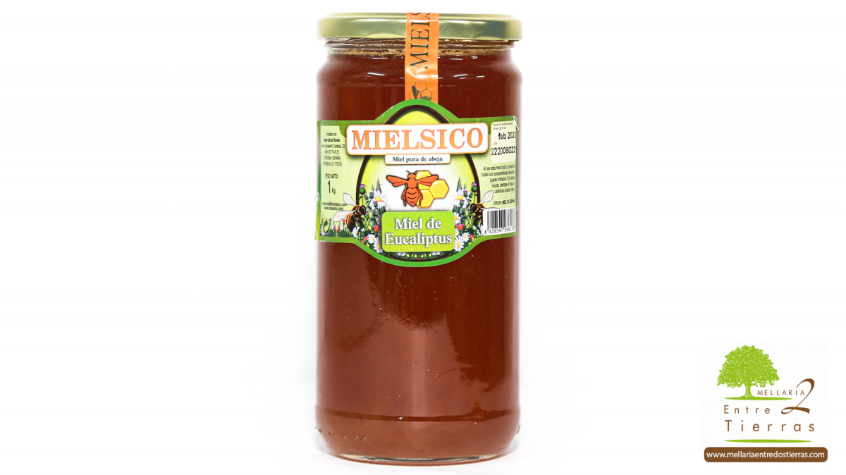 Miel de Eucalipto