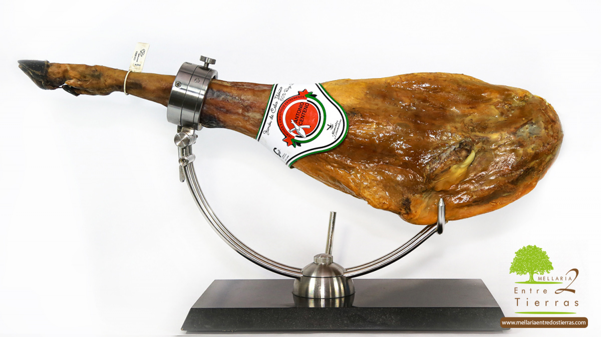 Jamón de Cebo Ibérico 50% Raza Ibérica
